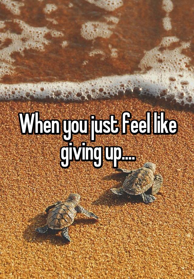 When you just feel like giving up....