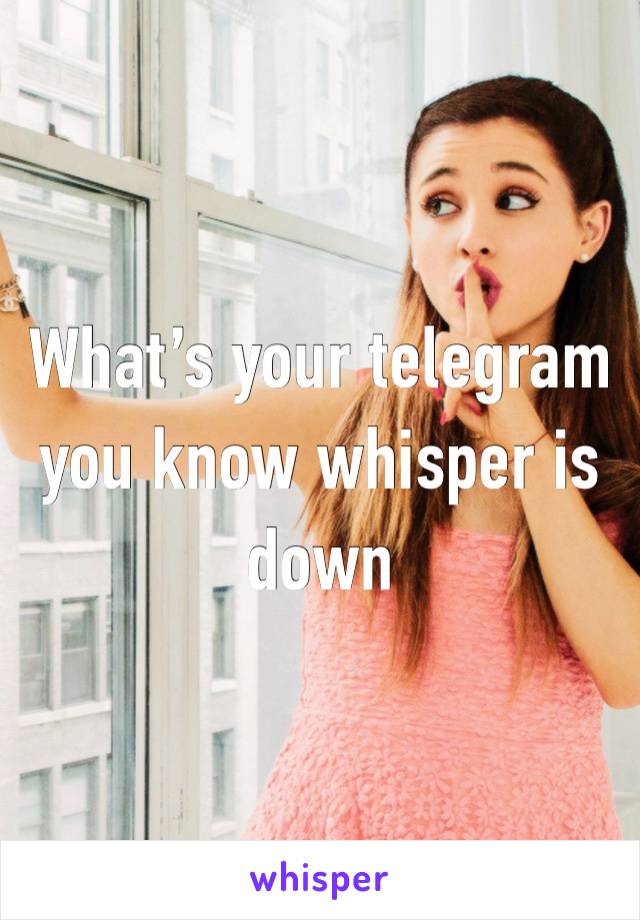 What’s your telegram you know whisper is down
