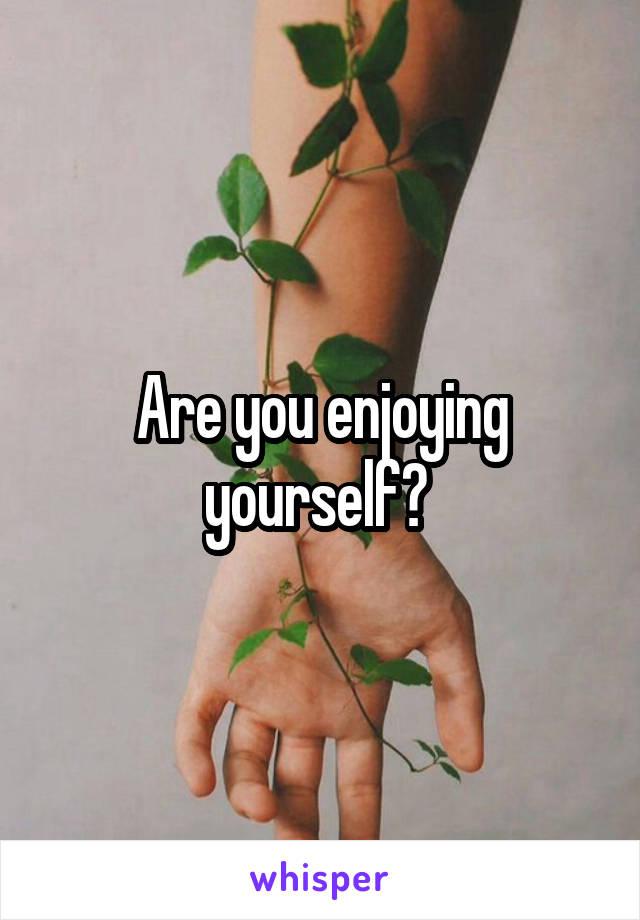 Are you enjoying yourself? 