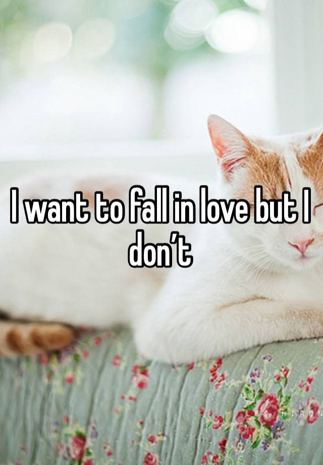 I want to fall in love but I don’t 