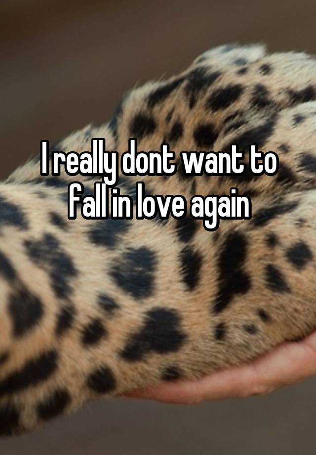 I really dont want to fall in love again

