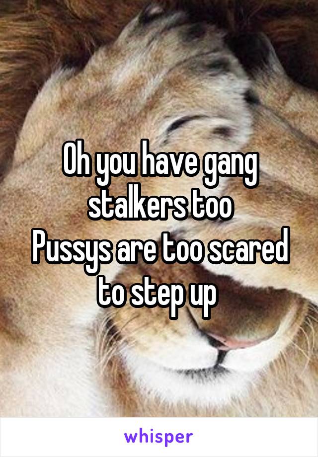 Oh you have gang stalkers too
Pussys are too scared to step up 