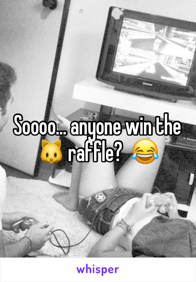 Soooo… anyone win the 🐱 raffle?  😂