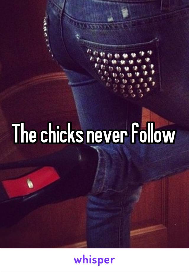 The chicks never follow 