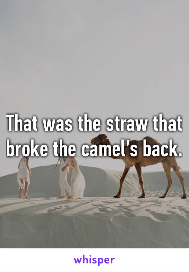 That was the straw that broke the camel’s back.