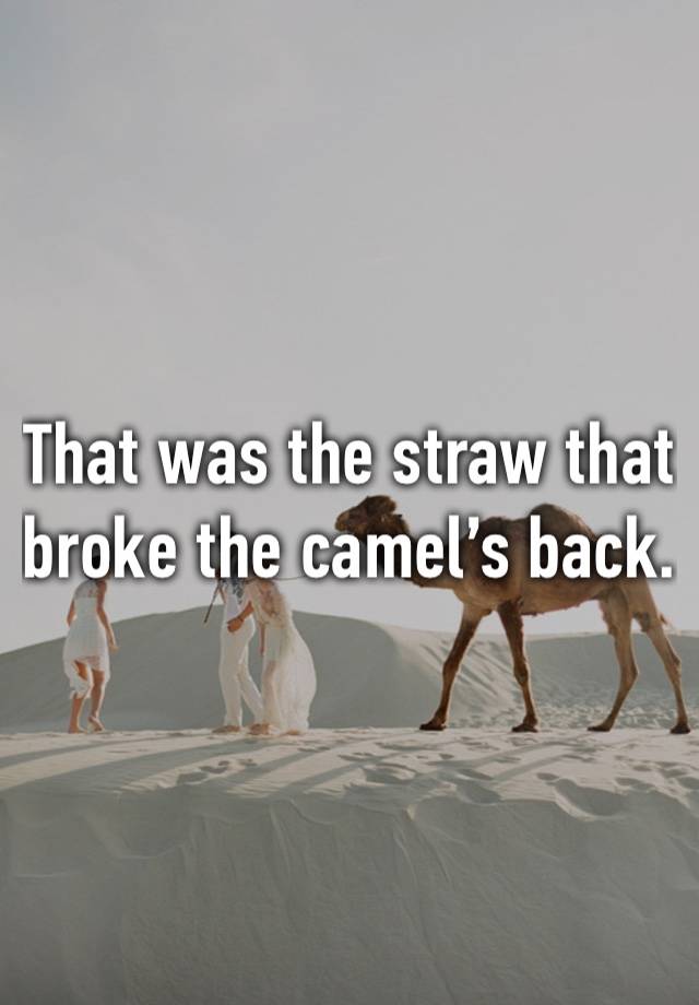 That was the straw that broke the camel’s back.