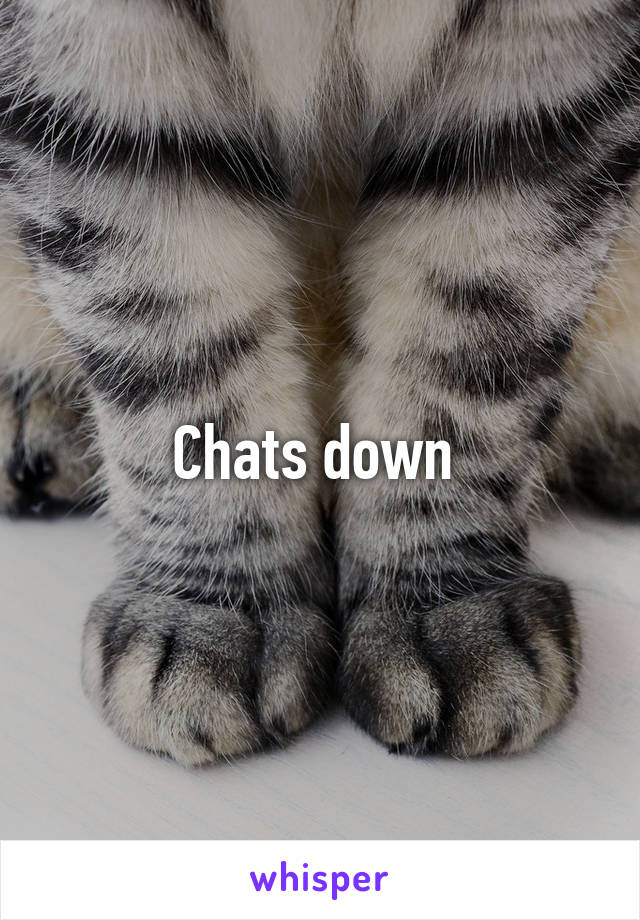Chats down 