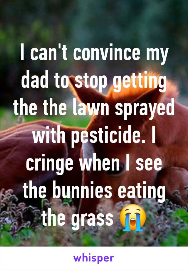 I can't convince my dad to stop getting the the lawn sprayed with pesticide. I cringe when I see the bunnies eating the grass 😭