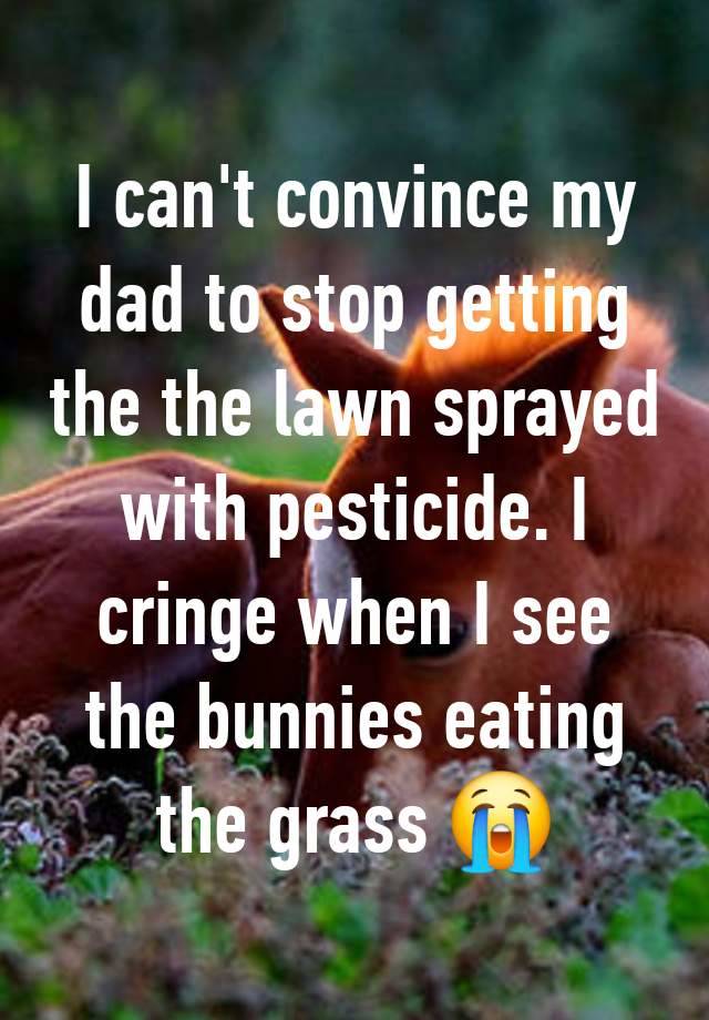 I can't convince my dad to stop getting the the lawn sprayed with pesticide. I cringe when I see the bunnies eating the grass 😭