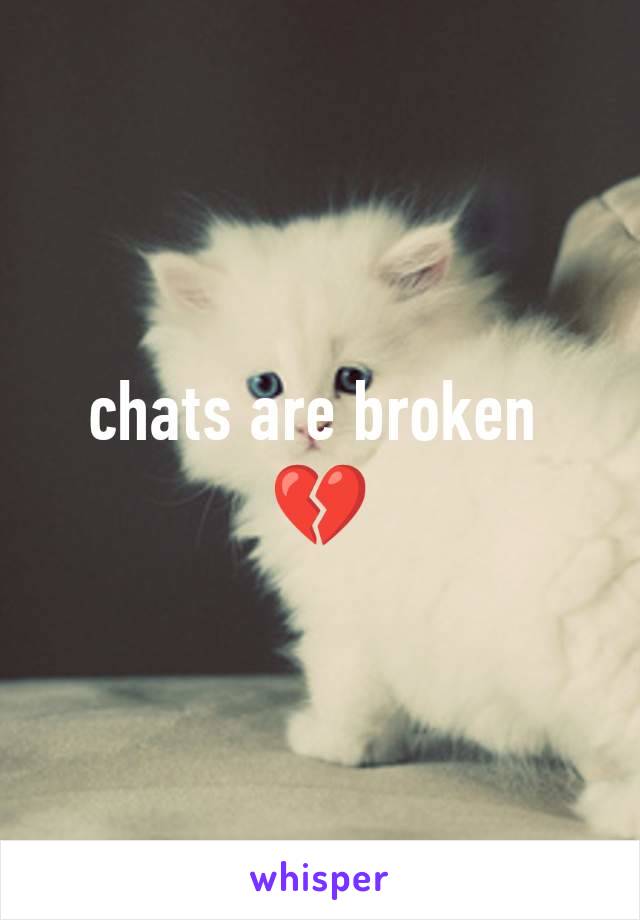chats are broken 
💔