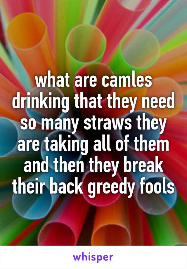 what are camles drinking that they need so many straws they are taking all of them and then they break their back greedy fools