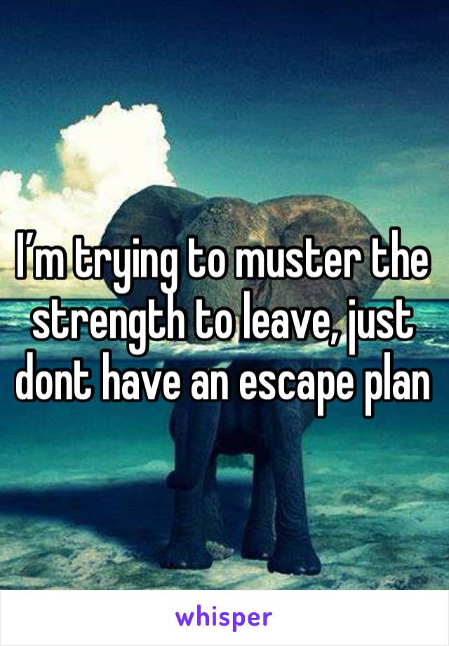 I’m trying to muster the strength to leave, just dont have an escape plan