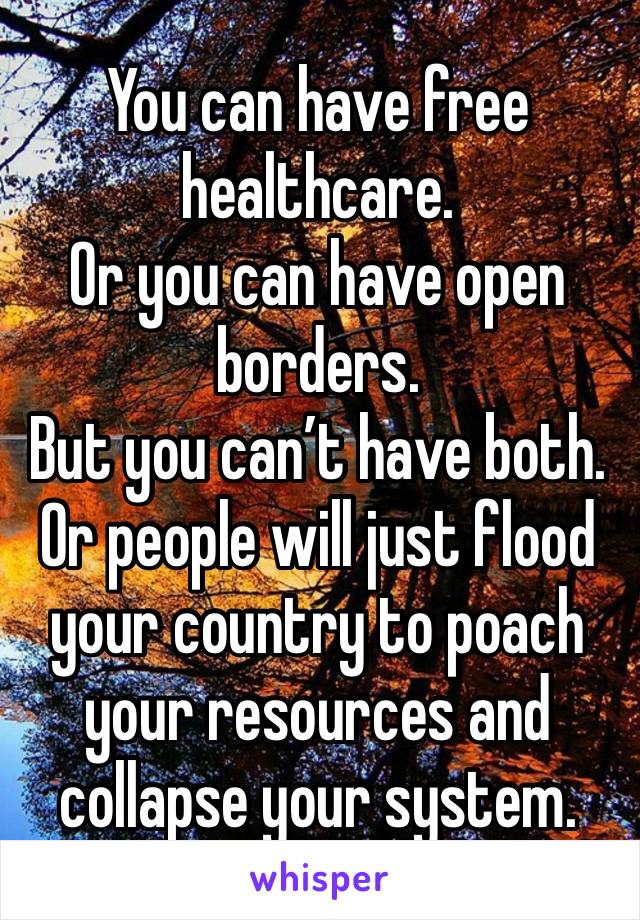 You can have free healthcare.
Or you can have open borders.
But you can’t have both.
Or people will just flood your country to poach your resources and collapse your system.