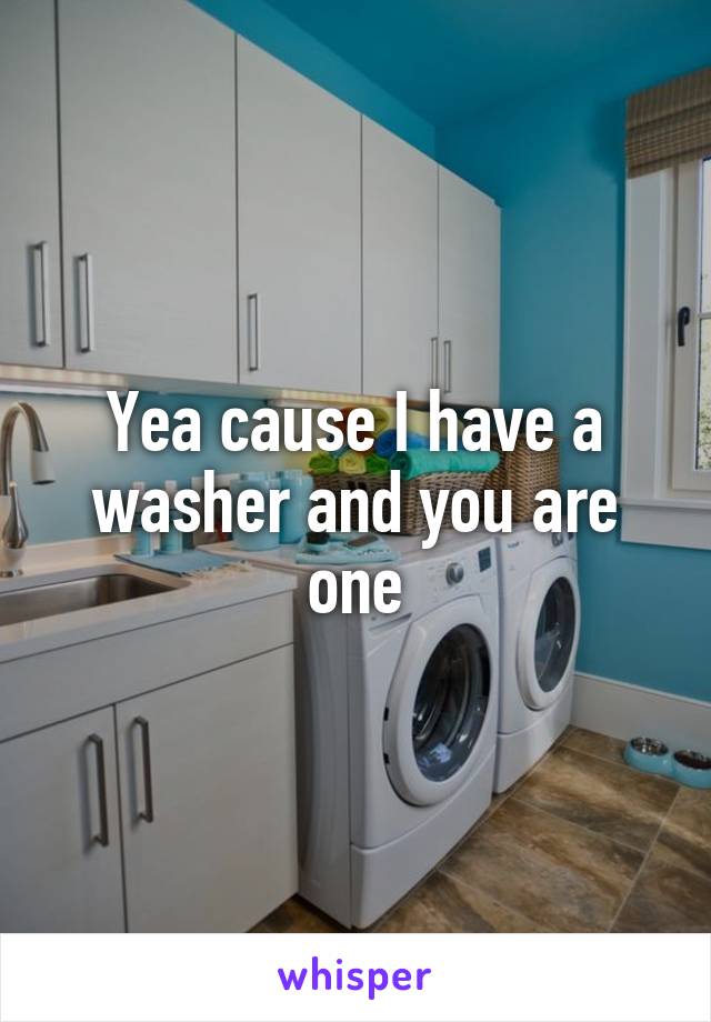 Yea cause I have a washer and you are one