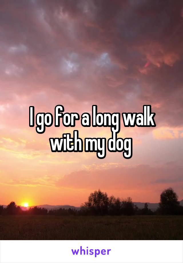 I go for a long walk with my dog 