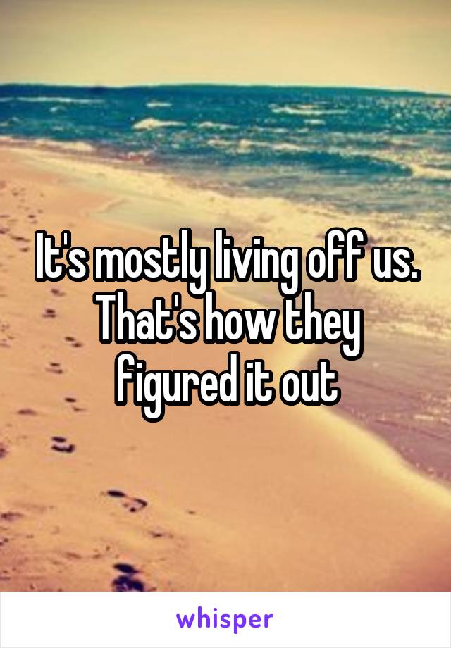It's mostly living off us. That's how they figured it out