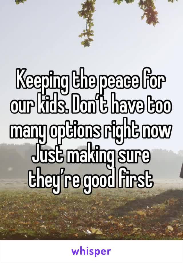 Keeping the peace for our kids. Don’t have too many options right now
Just making sure they’re good first