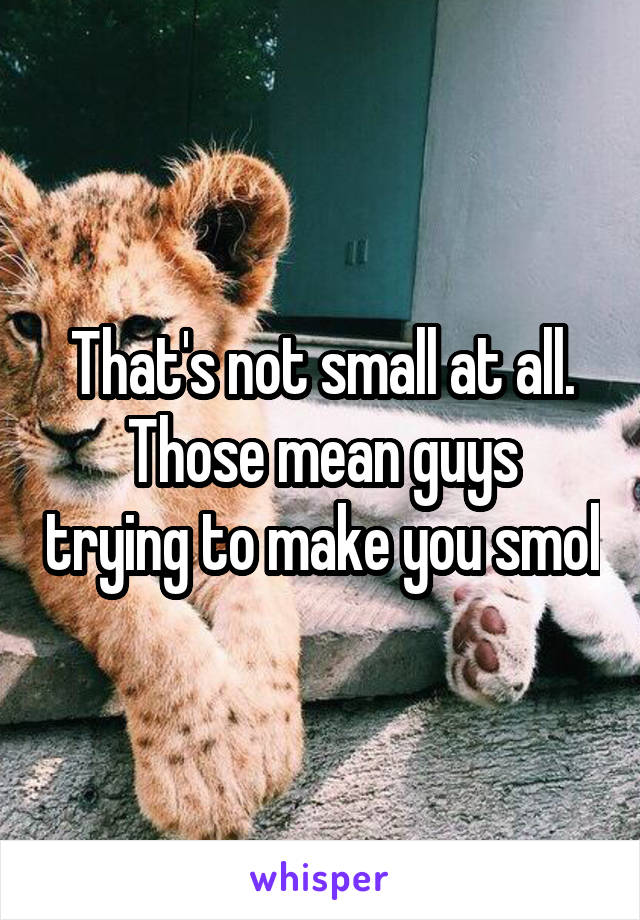 That's not small at all.
Those mean guys trying to make you smol