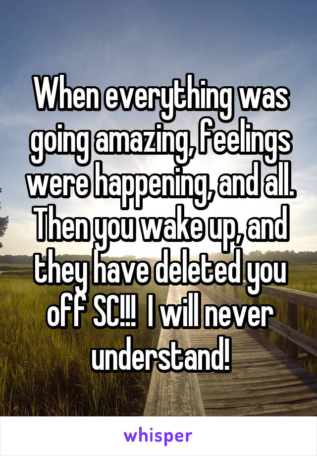 When everything was going amazing, feelings were happening, and all. Then you wake up, and they have deleted you off SC!!!  I will never understand!