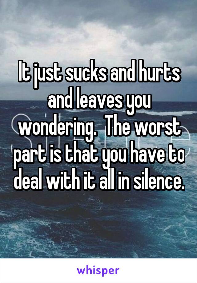 It just sucks and hurts and leaves you wondering.  The worst part is that you have to deal with it all in silence. 