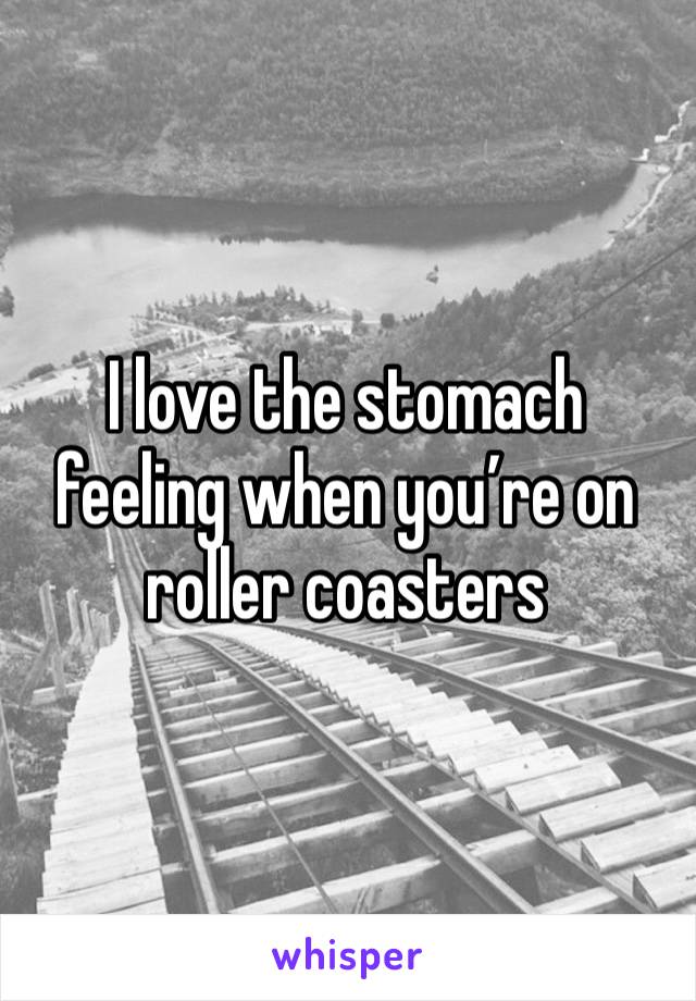 I love the stomach feeling when you’re on roller coasters