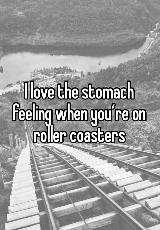 I love the stomach feeling when you’re on roller coasters