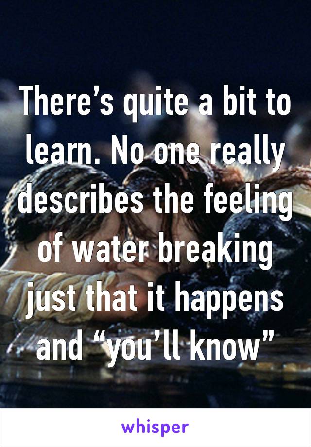 There’s quite a bit to learn. No one really describes the feeling of water breaking just that it happens and “you’ll know” 