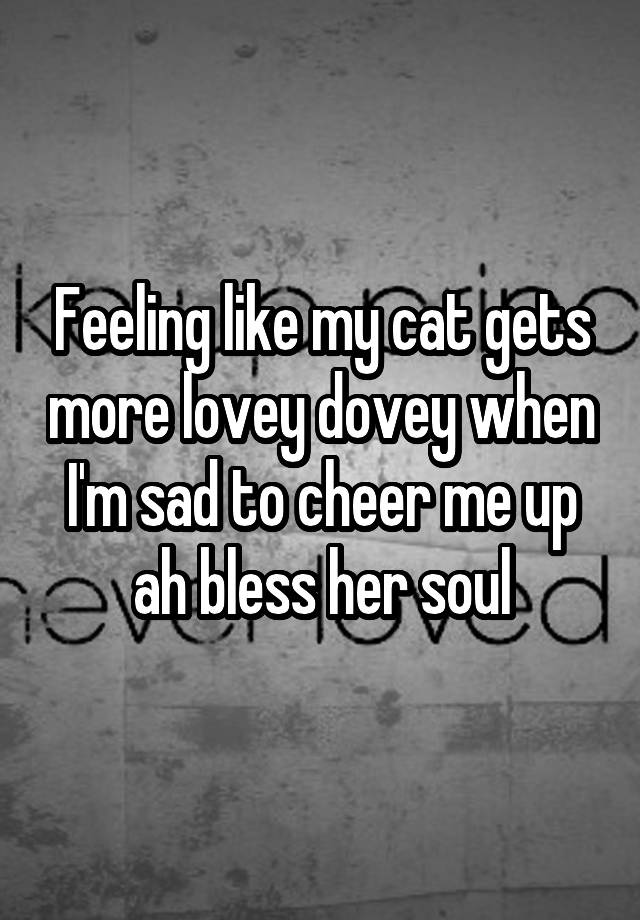 Feeling like my cat gets more lovey dovey when I'm sad to cheer me up ah bless her soul