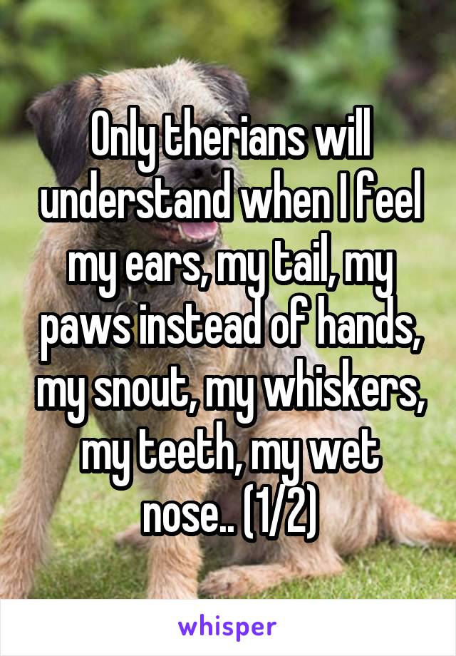 Only therians will understand when I feel my ears, my tail, my paws instead of hands, my snout, my whiskers, my teeth, my wet nose.. (1/2)