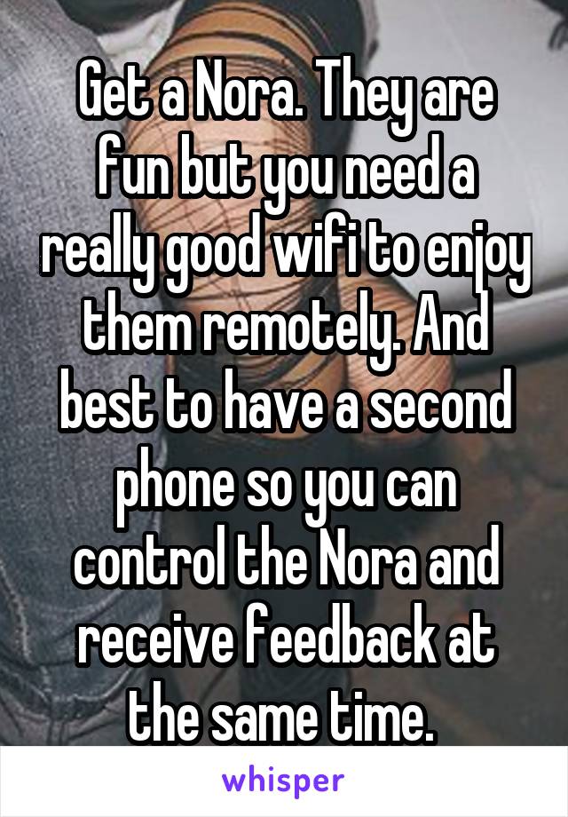 Get a Nora. They are fun but you need a really good wifi to enjoy them remotely. And best to have a second phone so you can control the Nora and receive feedback at the same time. 