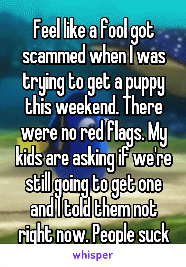 Feel like a fool got scammed when I was trying to get a puppy this weekend. There were no red flags. My kids are asking if we're still going to get one and I told them not right now. People suck