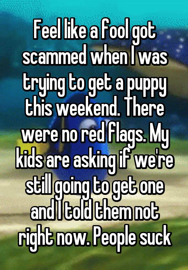 Feel like a fool got scammed when I was trying to get a puppy this weekend. There were no red flags. My kids are asking if we're still going to get one and I told them not right now. People suck