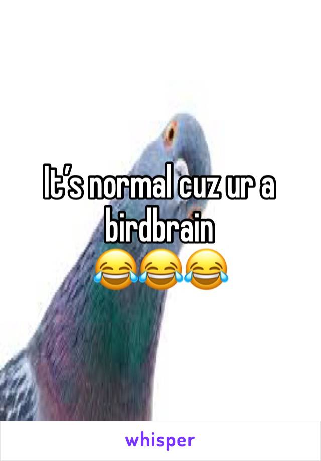 It’s normal cuz ur a birdbrain 
😂😂😂