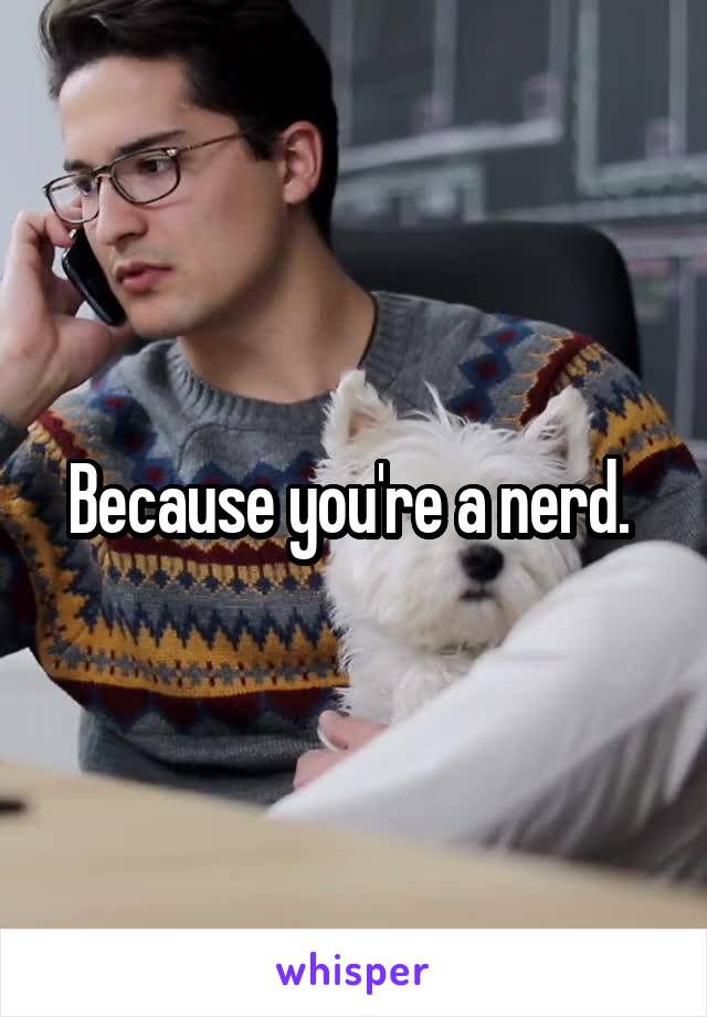 Because you're a nerd. 