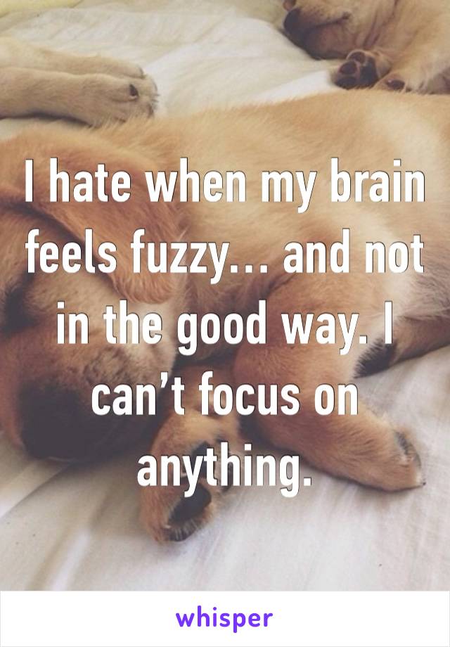 I hate when my brain feels fuzzy… and not in the good way. I can’t focus on anything. 