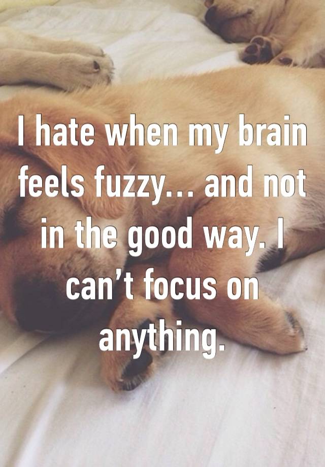 I hate when my brain feels fuzzy… and not in the good way. I can’t focus on anything. 