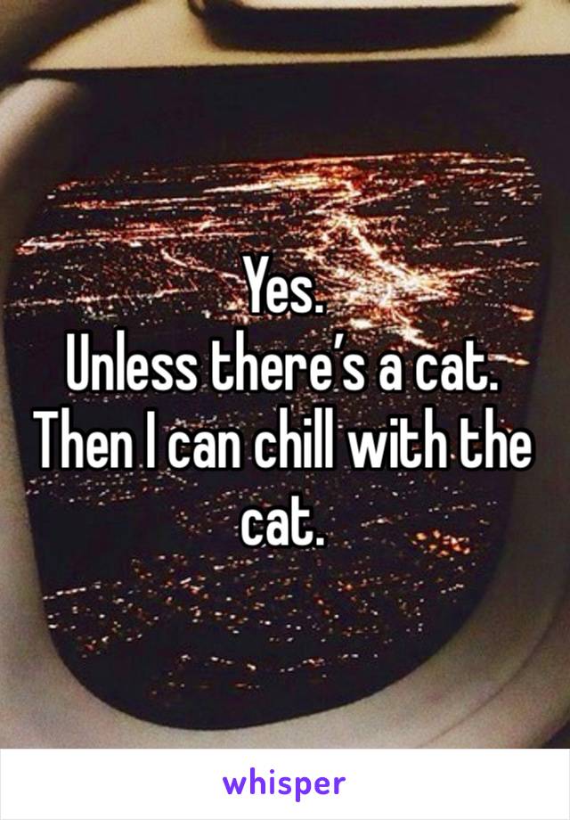 Yes. 
Unless there’s a cat. Then I can chill with the cat. 