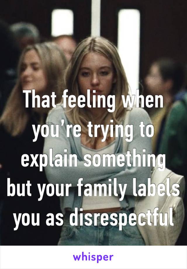 That feeling when you’re trying to explain something but your family labels you as disrespectful 