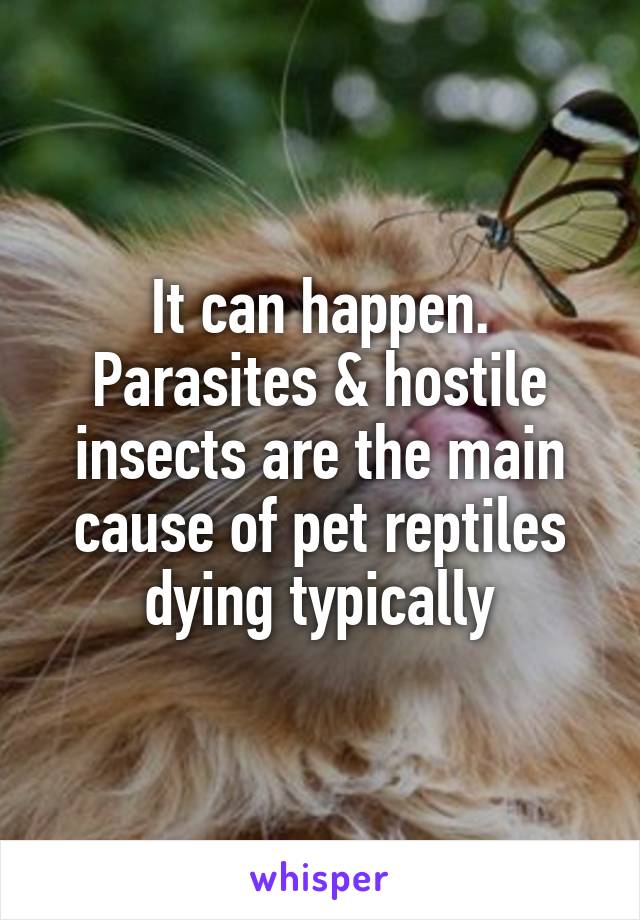 It can happen. Parasites & hostile insects are the main cause of pet reptiles dying typically