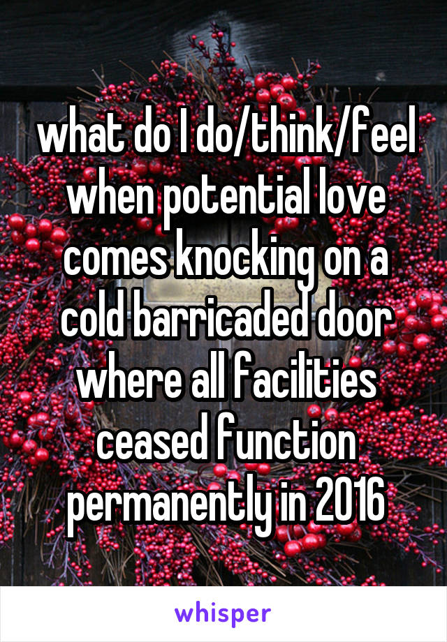 what do I do/think/feel when potential love comes knocking on a cold barricaded door where all facilities ceased function permanently in 2016