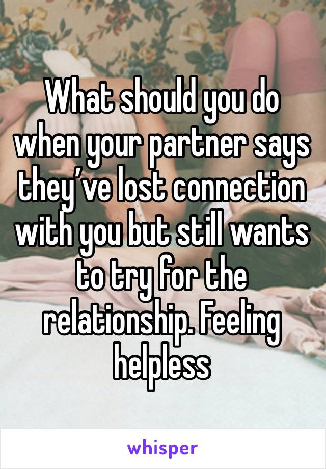 What should you do when your partner says they’ve lost connection with you but still wants to try for the relationship. Feeling helpless 