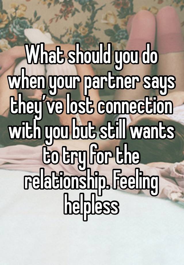 What should you do when your partner says they’ve lost connection with you but still wants to try for the relationship. Feeling helpless 