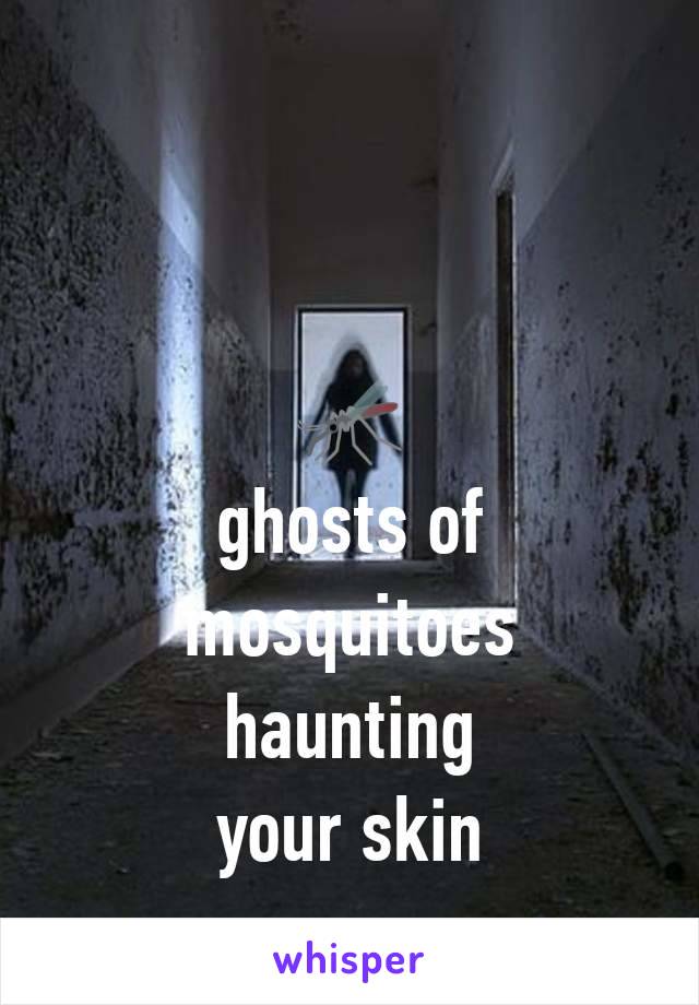 🦟
ghosts of mosquitoes
haunting
your skin