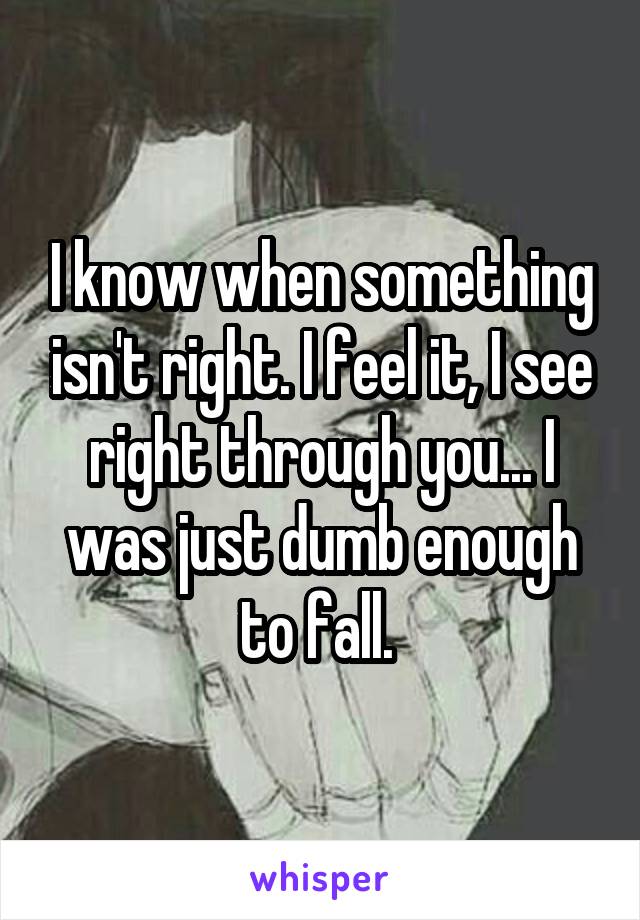 I know when something isn't right. I feel it, I see right through you... I was just dumb enough to fall. 