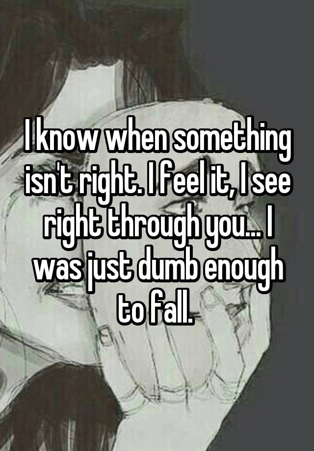 I know when something isn't right. I feel it, I see right through you... I was just dumb enough to fall. 