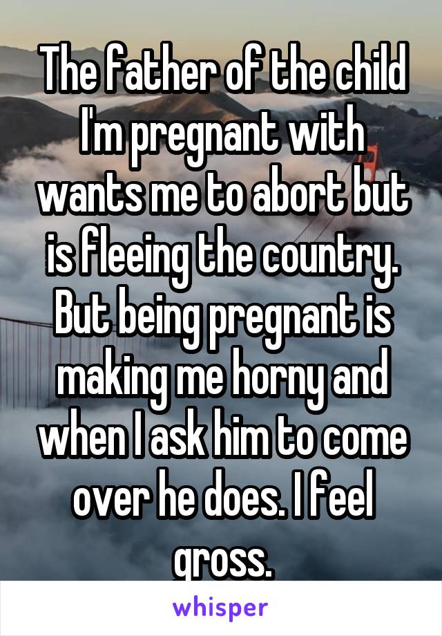 The father of the child I'm pregnant with wants me to abort but is fleeing the country. But being pregnant is making me horny and when I ask him to come over he does. I feel gross.