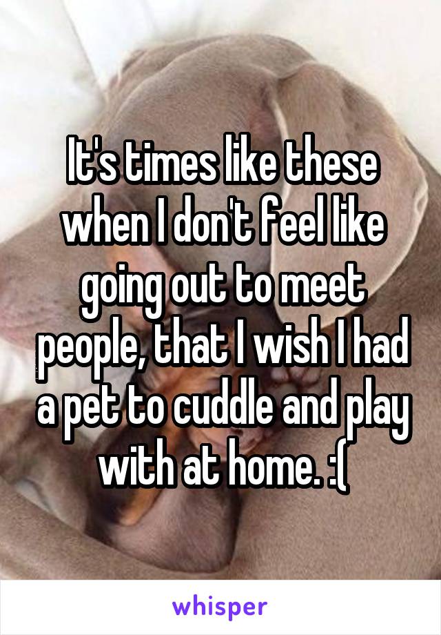 It's times like these when I don't feel like going out to meet people, that I wish I had a pet to cuddle and play with at home. :(