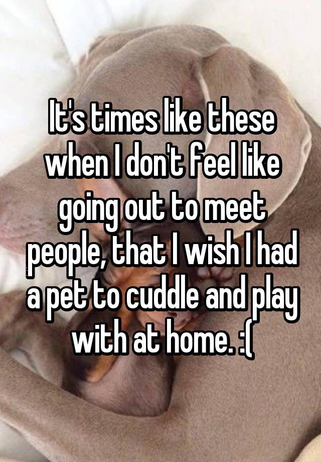 It's times like these when I don't feel like going out to meet people, that I wish I had a pet to cuddle and play with at home. :(