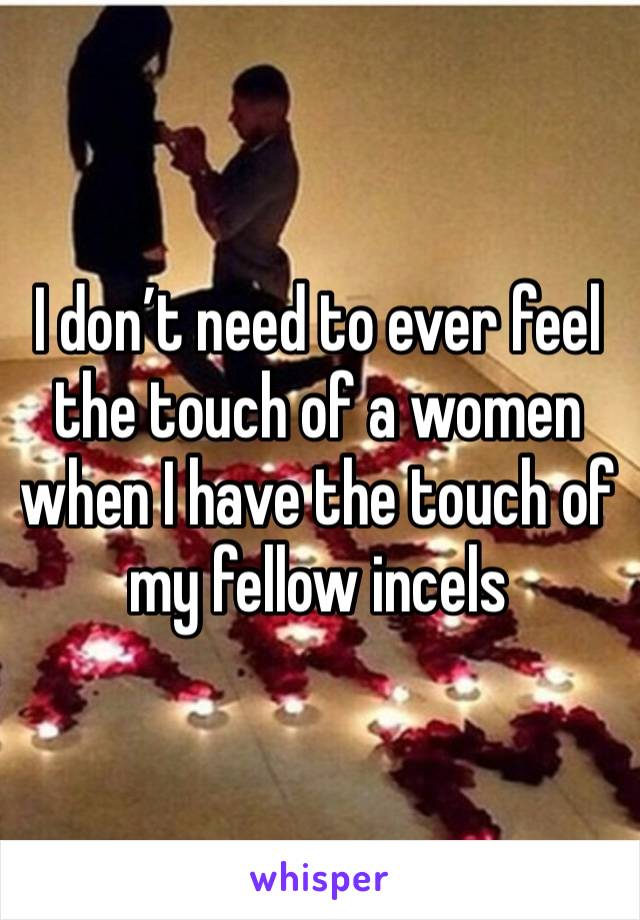 I don’t need to ever feel the touch of a women when I have the touch of my fellow incels