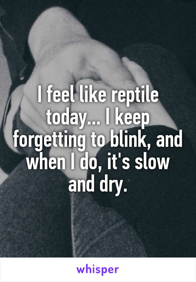 I feel like reptile today... I keep forgetting to blink, and when I do, it's slow and dry.